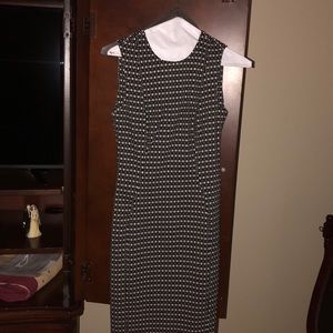 Calvin Klein Dress Black and White